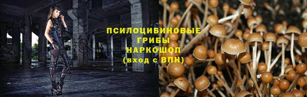 прущий лед Касимов